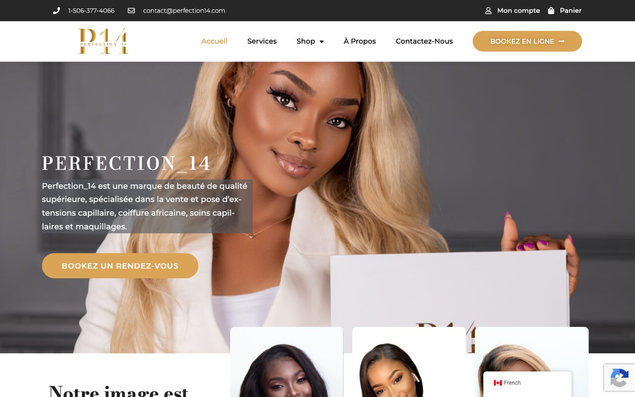 Perfection 14 : Accueil, ancien site, version ordinateur